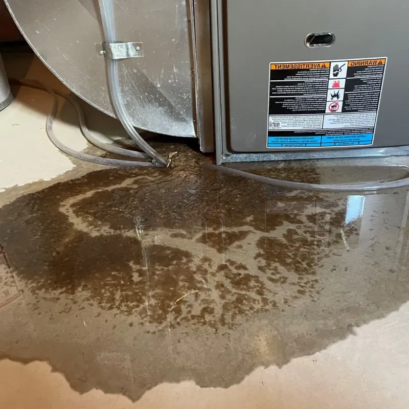 Pipe Burst and Leak Restoration in Oak Hills Place, LA
