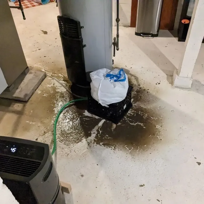Sewage Backup Cleanup Service in Oak Hills Place, LA